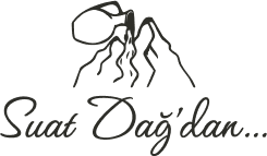 İzmir Tire’den doğal güzellikler ve lezzetler: Sofranıza doğanın en saf armağanlarını getiriyoruz!